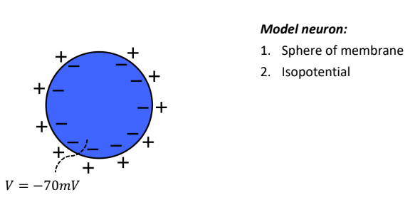 Pasted image 20230119105157.png