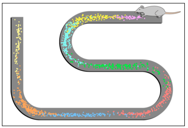 Pasted image 20230121162337.png